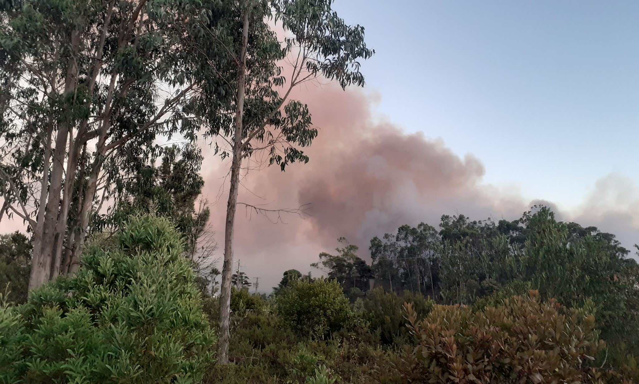 FOTO: Polícia Judiciária