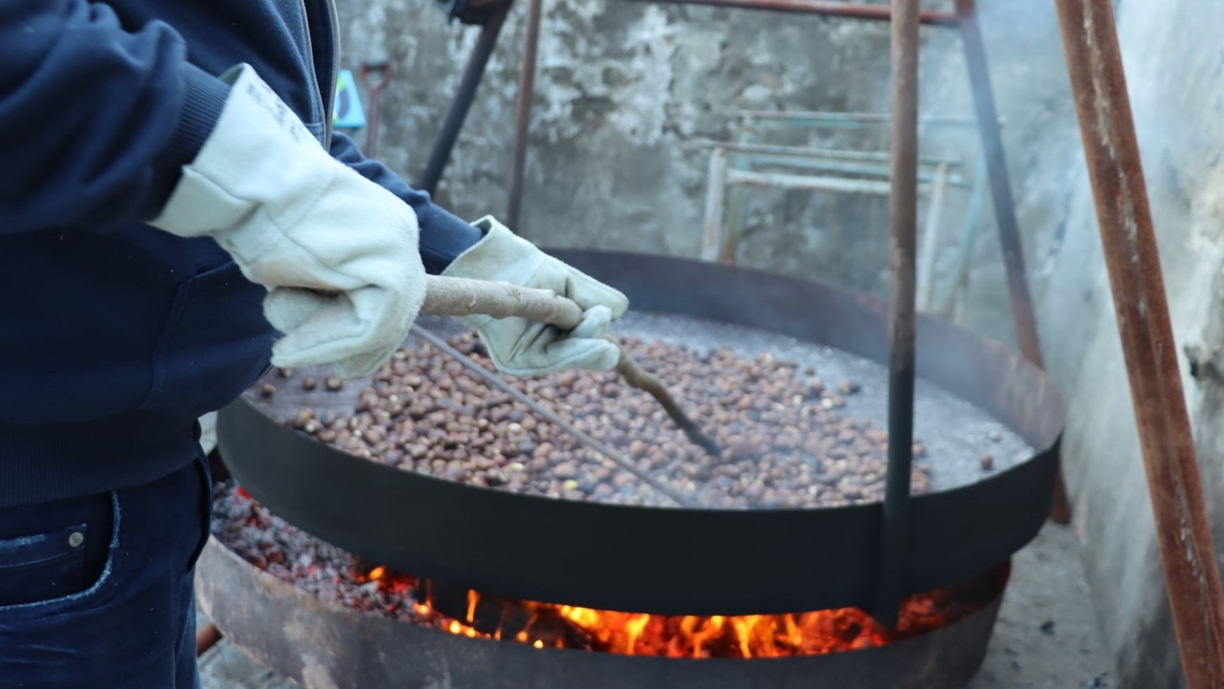 Município de Mesão Frio cumpre a tradição e volta a realizar o Magusto Comunitário