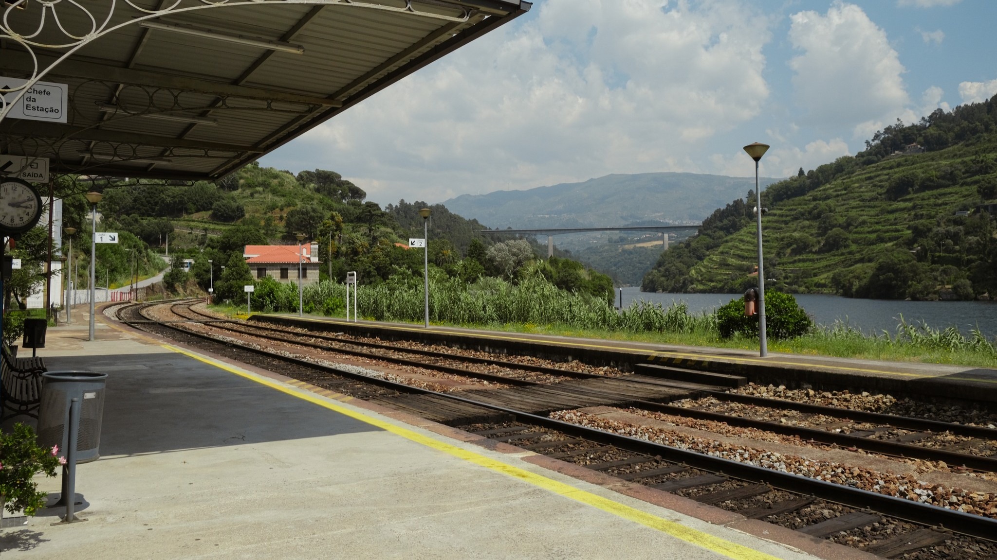 Governo declara de “utilidade pública” a eletrificação da Linha do Douro entre o Marco e a Régua que permite o abate de 292 sobreiros
