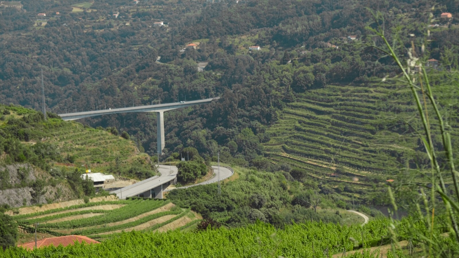 Ligação de Baião à Ponte da Ermida (1.ª fase): Paulo Pereira fala em obra “importante” para o território
