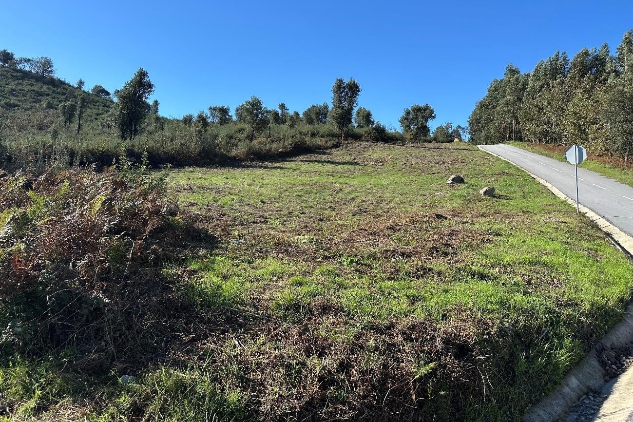 Proprietários têm até ao dia 30 de junho para realizarem a limpeza de terrenos