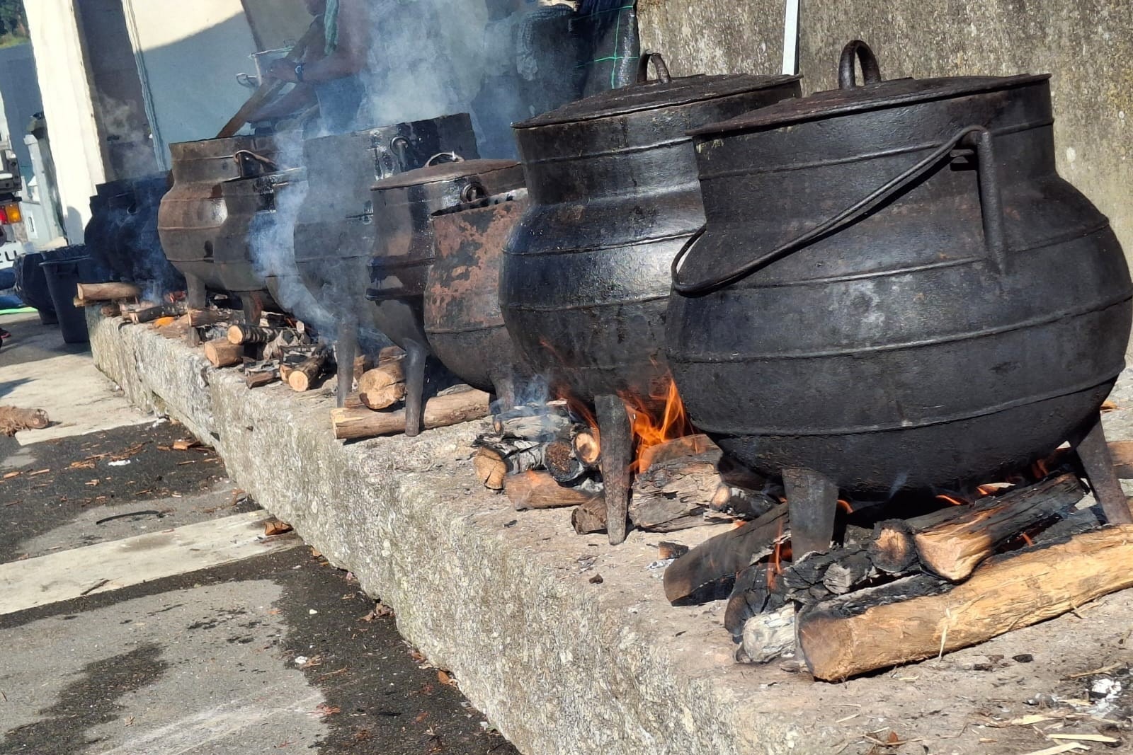 Festa do Arroz de Cabidela em Tresouras decorre a 02 de agosto com Tony Dance na animação