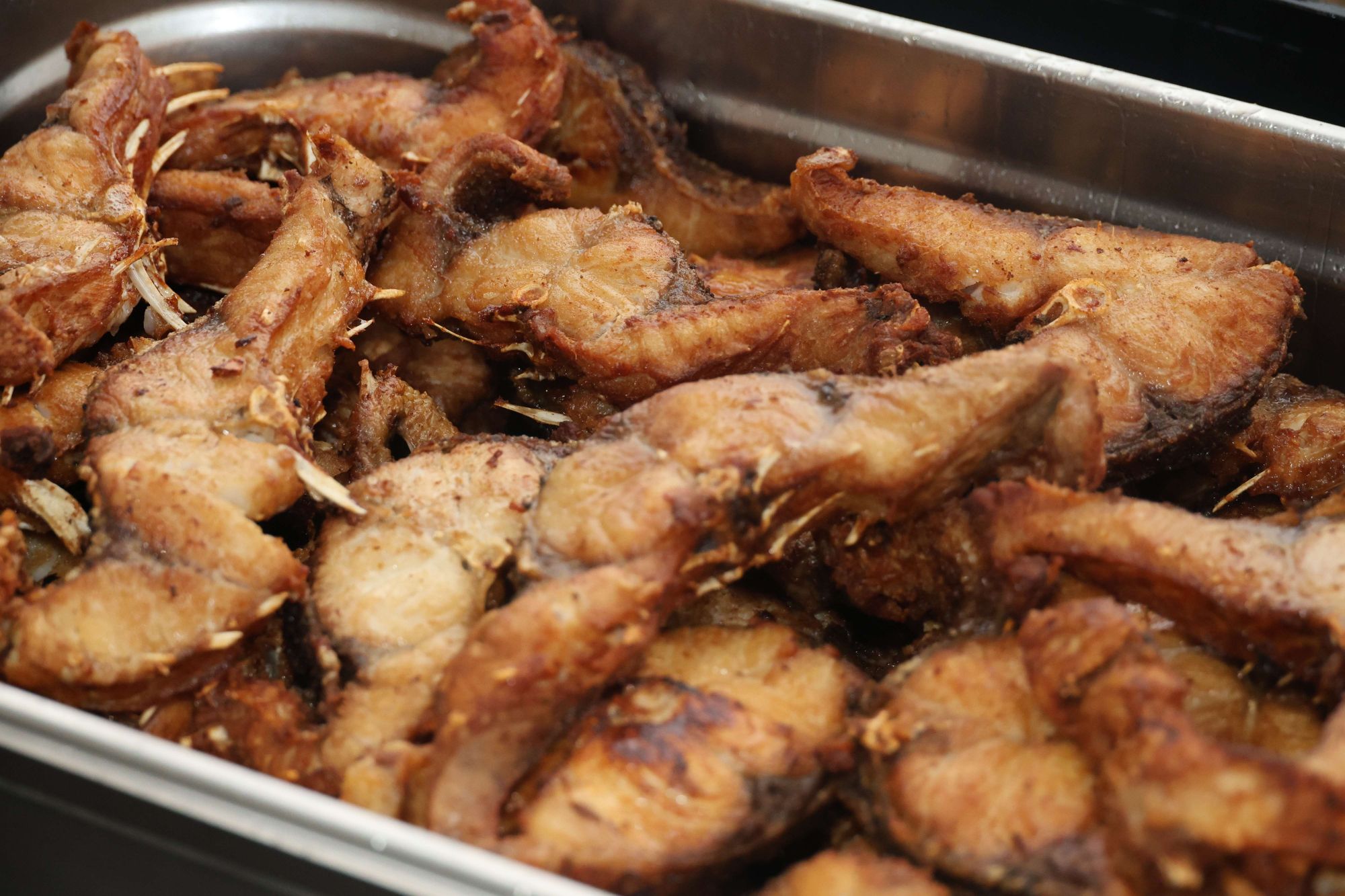 VI Mostra do Peixe do Rio com novo formato junta gastronomia e animação musical