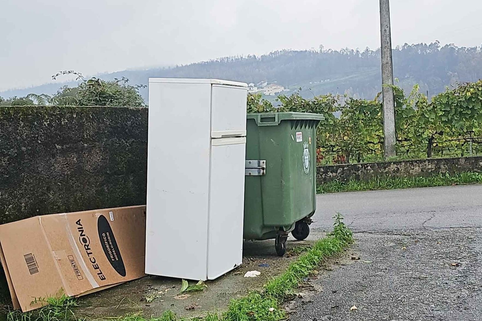 Marco de Canaveses disponibiliza serviço gratuito de recolha de monos, monstros e outros resíduos