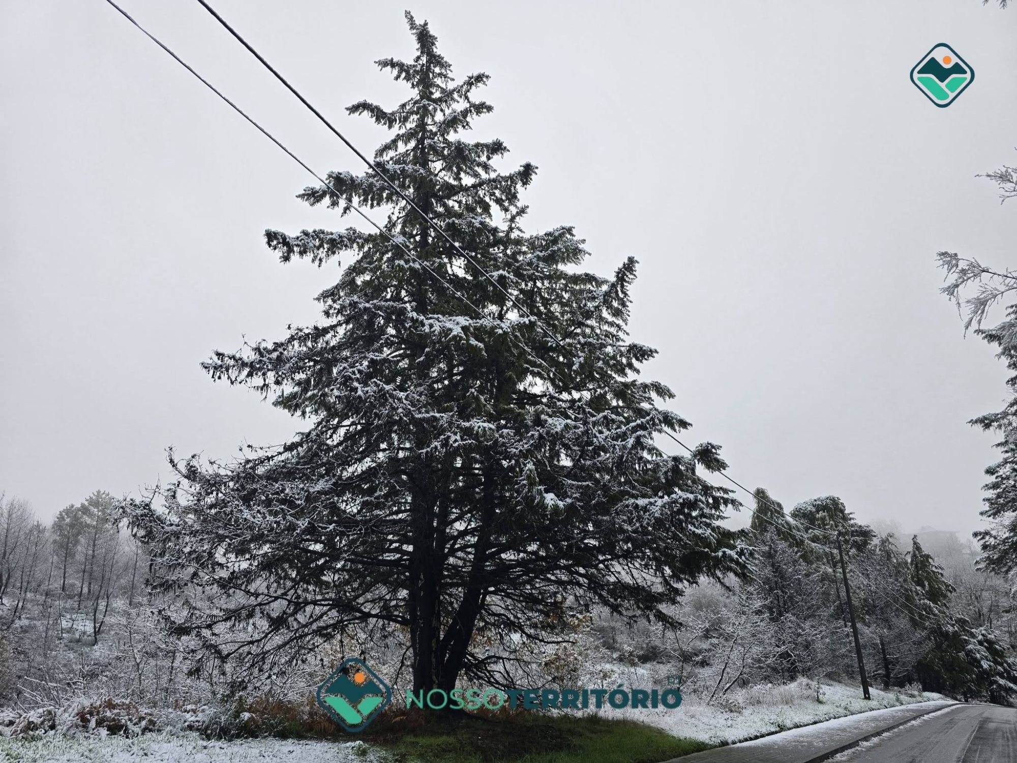 Escolas de Baião encerram às 15:30 devido ao agravamento das condições meteorológicas