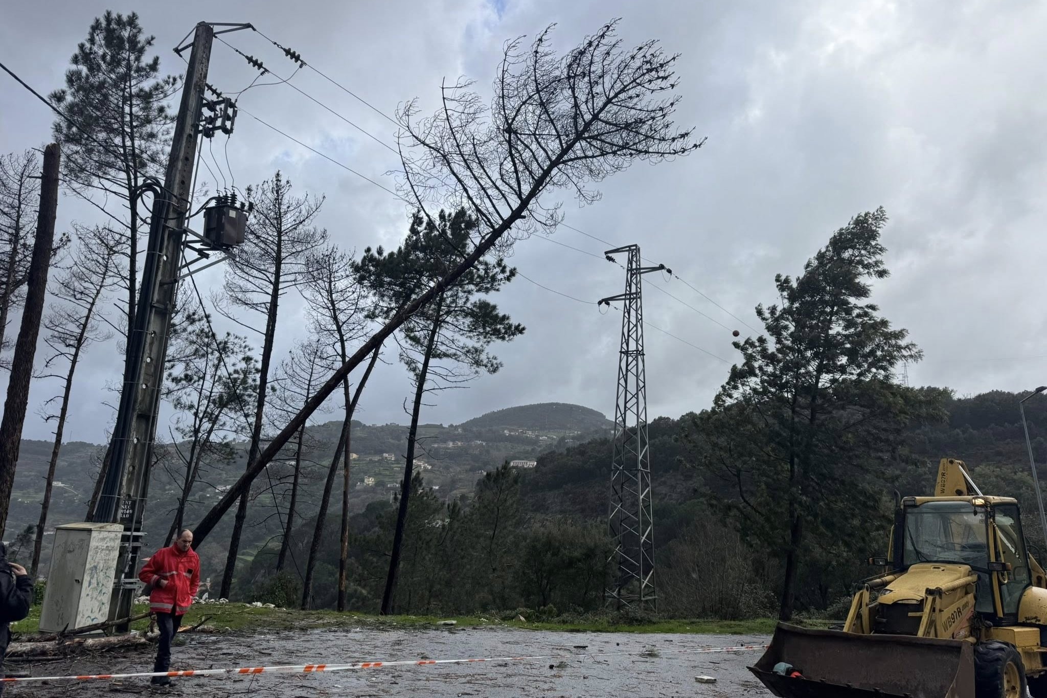 Queda de pinheiro deixa lugar do Castelo em Frende sem eletricidade