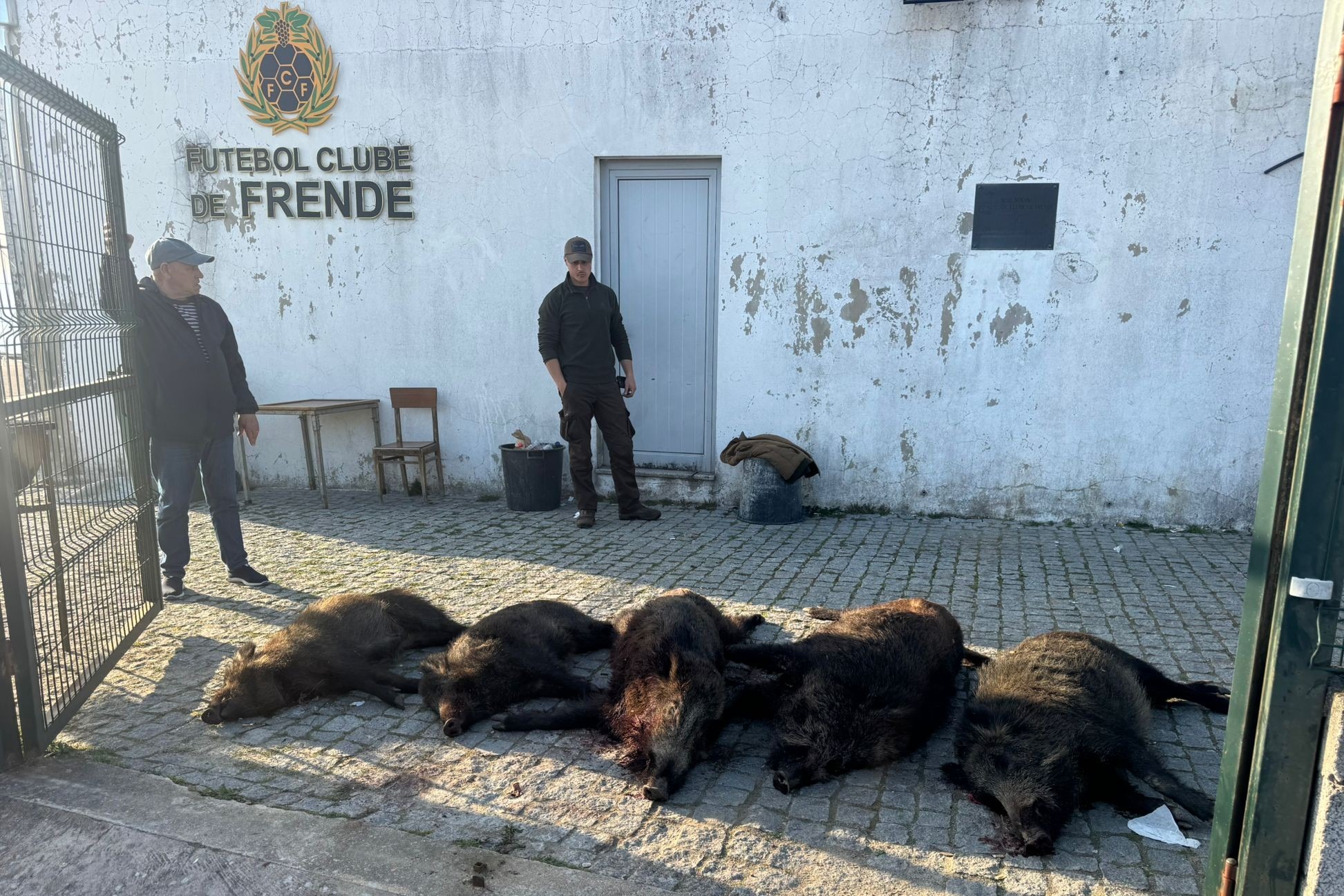 Clube de Pescadores e Caçadores “Monte da Lapinha” de Frende realizou montaria ao javali