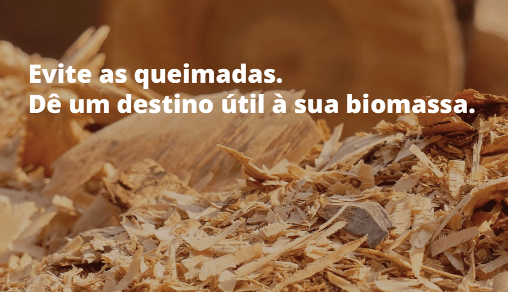 Baião acolhe Ponto de Recolha e Tratamento de Biomassa da região do Douro, Tâmega e Sousa