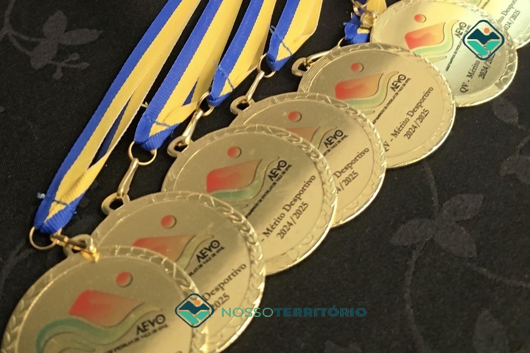 Agrupamento de Escolas de Vale de Ovil entregou os Prémios de Excelência Escolar 2024/2025 (C/VÍDEO)