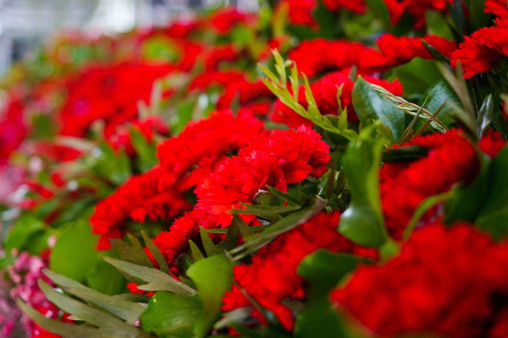 Marco de Canaveses celebra o 25 de Abril com um programa que arranca na sexta-feira