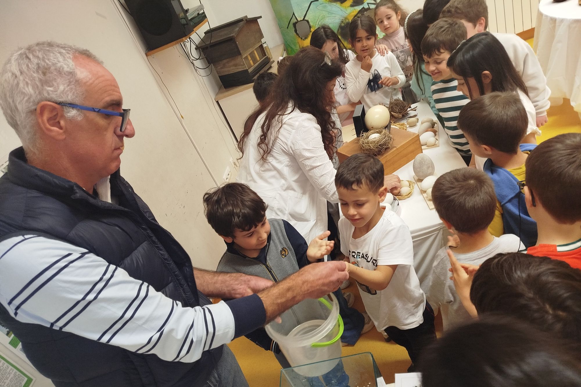 AMDT promoveu atividade educativa sobre anfíbios para os alunos do Centro Escolar de Campelo