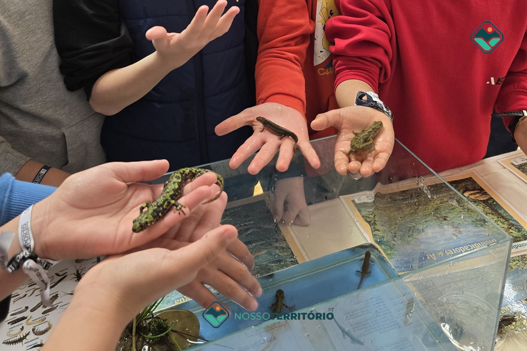 Escola Básica de Campelo promoveu Mostra de Biodiversidade e uma Feira de Adoção Animal (C/VÍDEO)