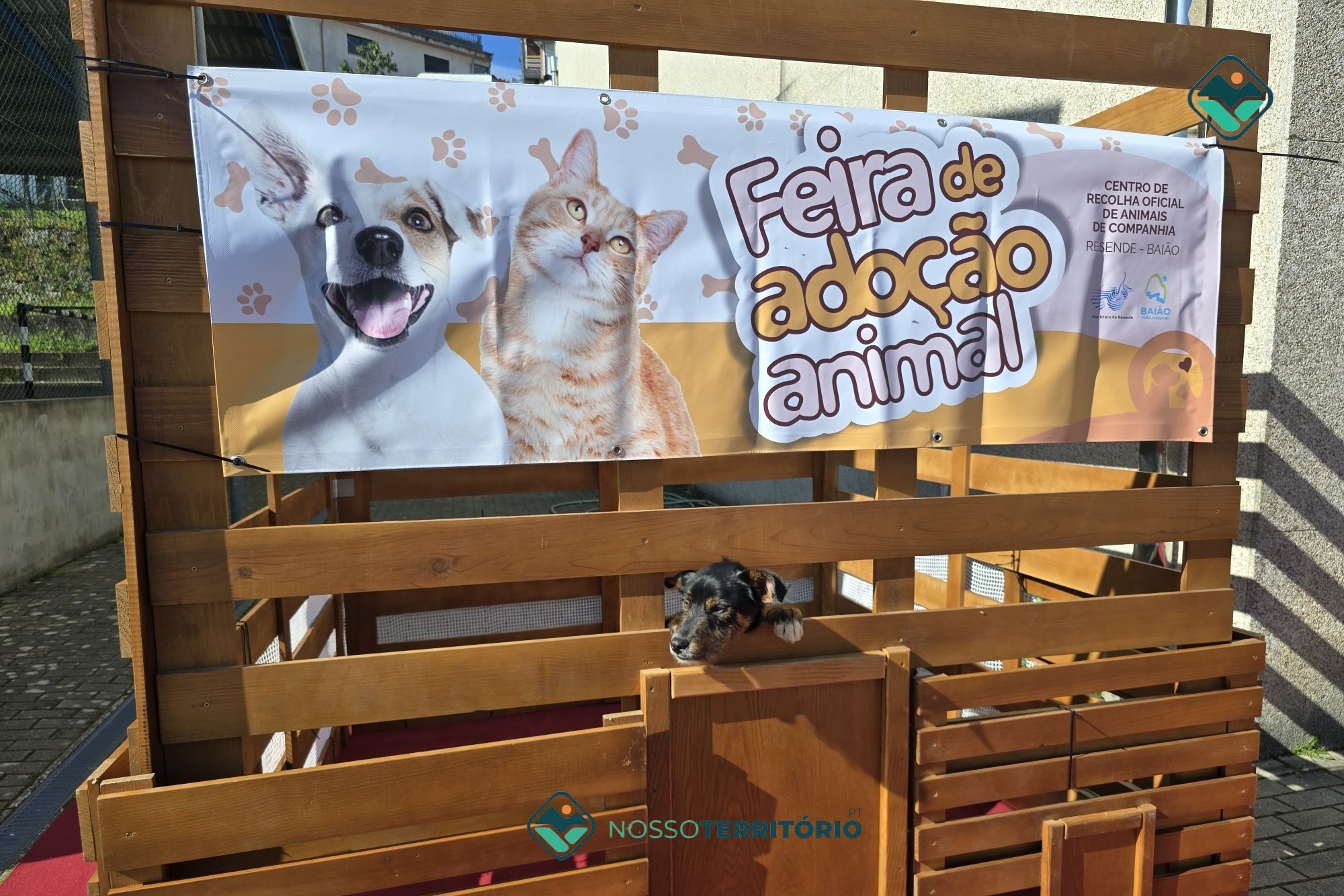 BAIÃO: Jardim de S. Bartolomeu recebe a III Feira de Adoção Animal