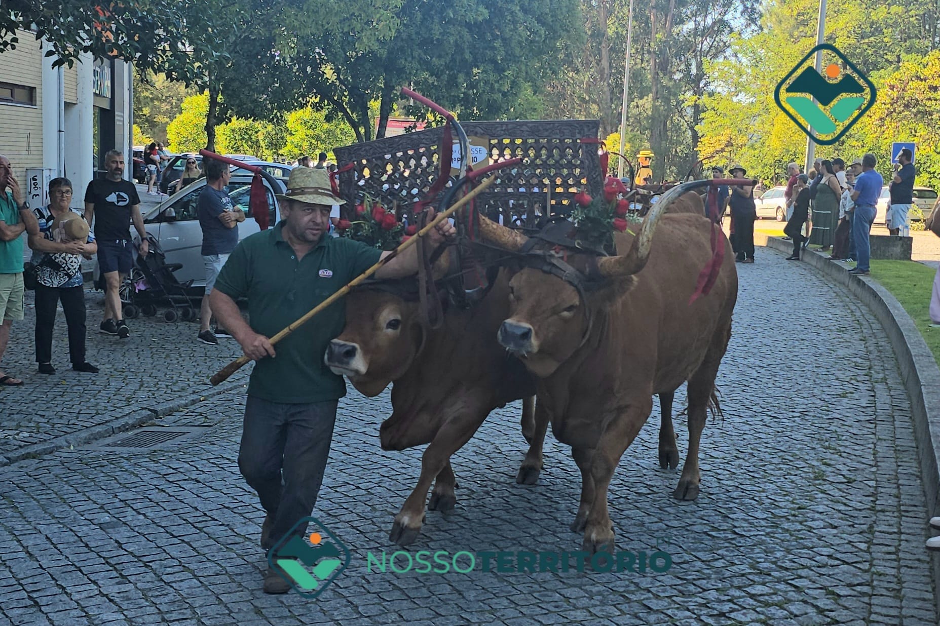 Feira do Gado do Marco de Canaveses reuniu cerca de uma centena de animais de raça arouquesa e barrosã (C/VÍDEO)