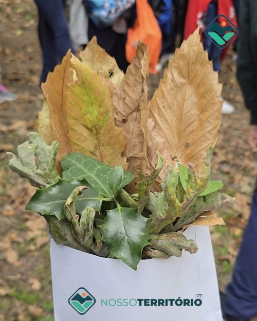 alunos no carvalhal 3