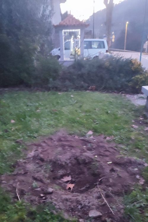 azinheira em arufe 2